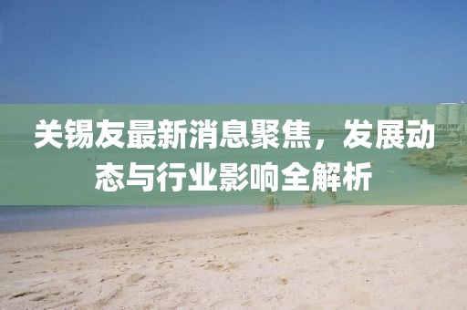 關(guān)錫友最新消息聚焦，發(fā)展動(dòng)態(tài)與行業(yè)影響全解析