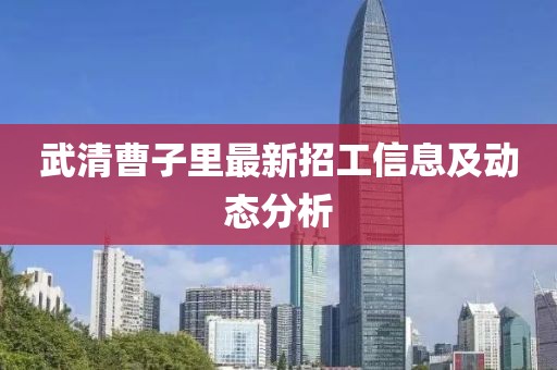 武清曹子里最新招工信息及動(dòng)態(tài)分析