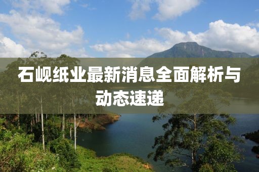 石峴紙業(yè)最新消息全面解析與動態(tài)速遞