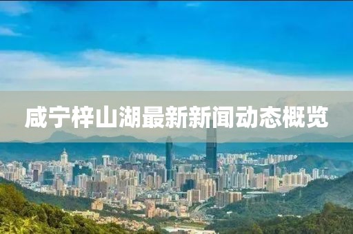 咸寧梓山湖最新新聞動(dòng)態(tài)概覽