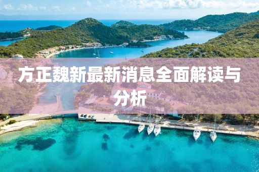 方正魏新最新消息全面解讀與分析