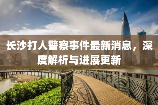 長沙打人警察事件最新消息，深度解析與進(jìn)展更新