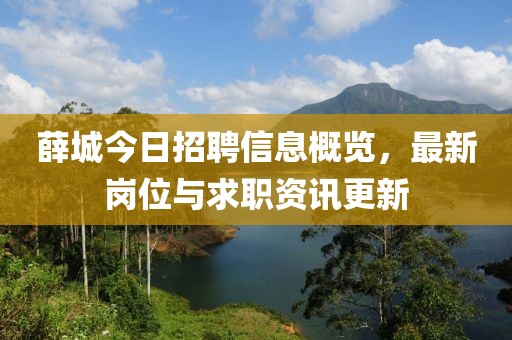 薛城今日招聘信息概覽，最新崗位與求職資訊更新