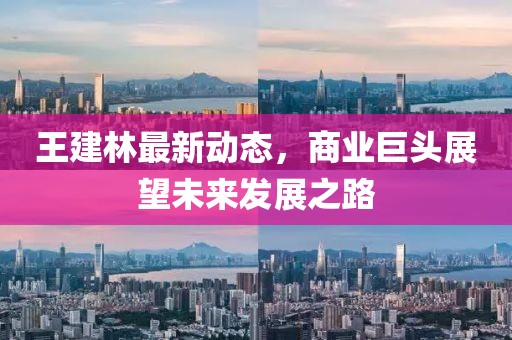 王建林最新動態(tài)，商業(yè)巨頭展望未來發(fā)展之路