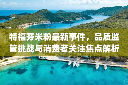 特福芬米粉最新事件，品質(zhì)監(jiān)管挑戰(zhàn)與消費(fèi)者關(guān)注焦點(diǎn)解析