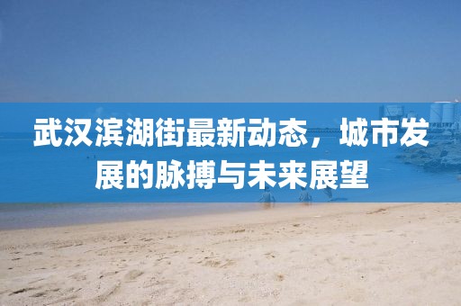 武漢濱湖街最新動(dòng)態(tài)，城市發(fā)展的脈搏與未來展望