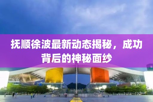 撫順徐波最新動(dòng)態(tài)揭秘，成功背后的神秘面紗