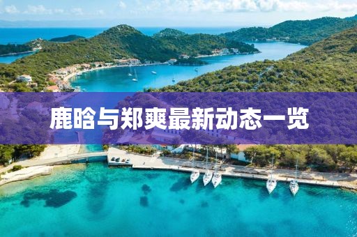 鹿晗與鄭爽最新動態(tài)一覽