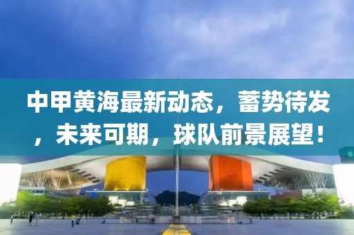 中甲黃海最新動態(tài)，蓄勢待發(fā)，未來可期，球隊前景展望！