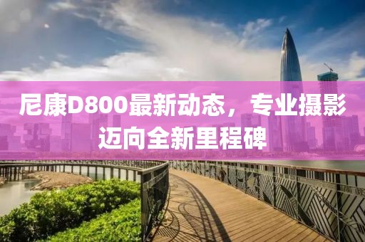 尼康D800最新動(dòng)態(tài)，專業(yè)攝影邁向全新里程碑