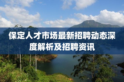 保定人才市場最新招聘動(dòng)態(tài)深度解析及招聘資訊