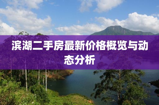 濱湖二手房最新價(jià)格概覽與動(dòng)態(tài)分析