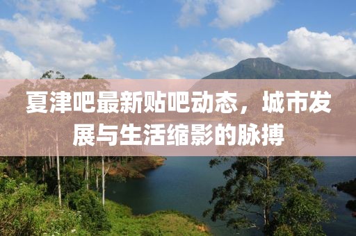 夏津吧最新貼吧動(dòng)態(tài)，城市發(fā)展與生活縮影的脈搏