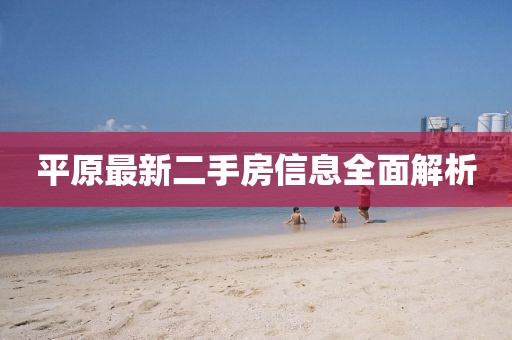 平原最新二手房信息全面解析