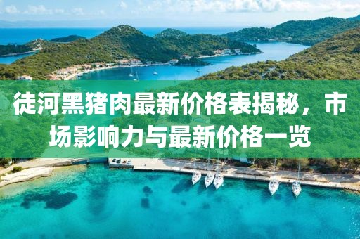 徒河黑豬肉最新價(jià)格表揭秘，市場影響力與最新價(jià)格一覽