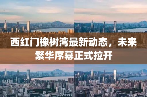 西紅門橡樹灣最新動態(tài)，未來繁華序幕正式拉開