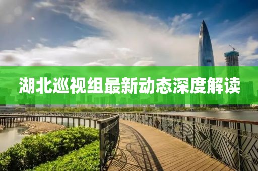 湖北巡視組最新動態(tài)深度解讀
