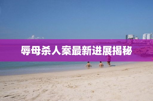 辱母殺人案最新進(jìn)展揭秘