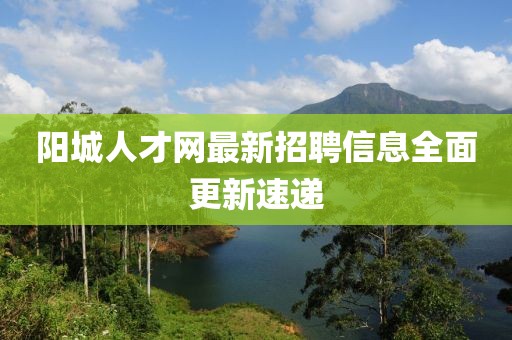 陽城人才網(wǎng)最新招聘信息全面更新速遞