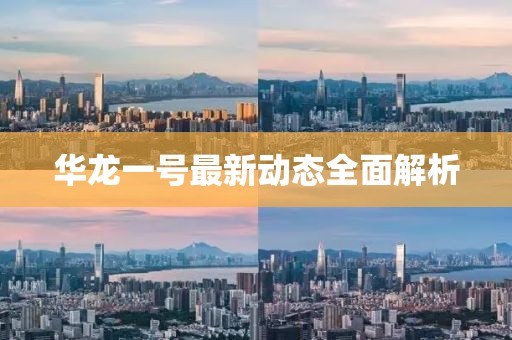 華龍一號最新動態(tài)全面解析