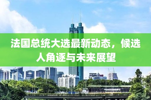 法國總統(tǒng)大選最新動(dòng)態(tài)，候選人角逐與未來展望