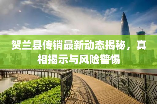賀蘭縣傳銷最新動態(tài)揭秘，真相揭示與風(fēng)險警惕