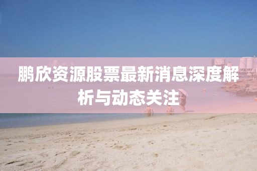 鵬欣資源股票最新消息深度解析與動態(tài)關(guān)注