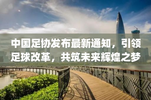 中國足協(xié)發(fā)布最新通知，引領(lǐng)足球改革，共筑未來輝煌之夢