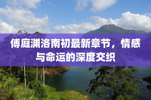 傅庭淵洛南初最新章節(jié)，情感與命運(yùn)的深度交織