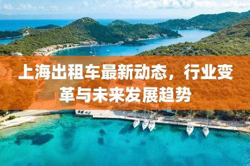 上海出租車最新動態(tài)，行業(yè)變革與未來發(fā)展趨勢
