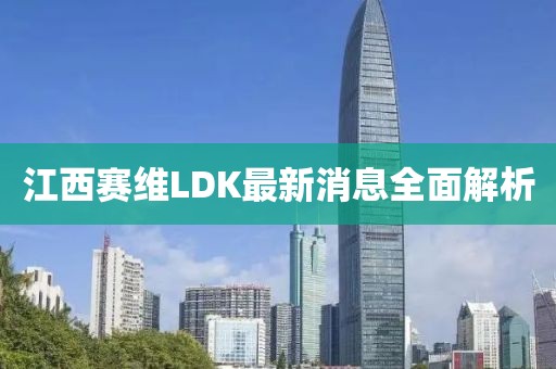 江西賽維LDK最新消息全面解析
