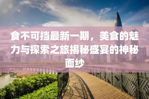 食不可擋最新一期，美食的魅力與探索之旅揭秘盛宴的神秘面紗