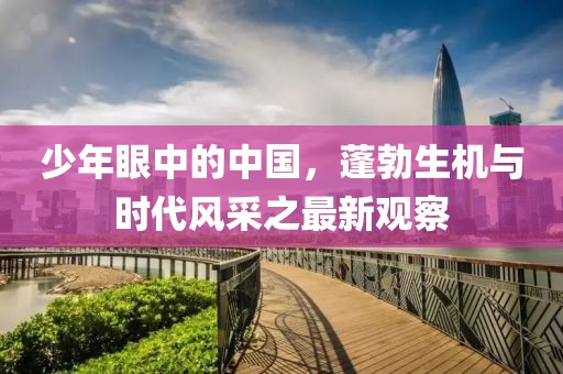 少年眼中的中國，蓬勃生機(jī)與時代風(fēng)采之最新觀察