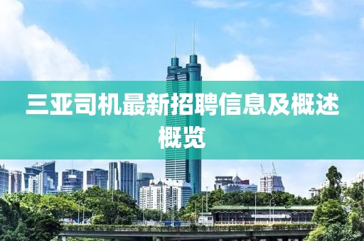 三亞司機(jī)最新招聘信息及概述概覽