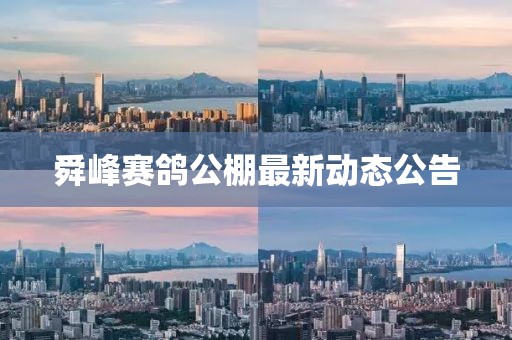 舜峰賽鴿公棚最新動(dòng)態(tài)公告