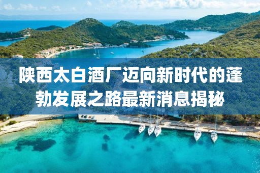 陜西太白酒廠邁向新時代的蓬勃發(fā)展之路最新消息揭秘