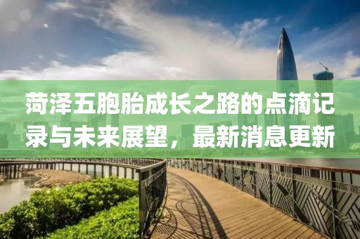 菏澤五胞胎成長之路的點滴記錄與未來展望，最新消息更新