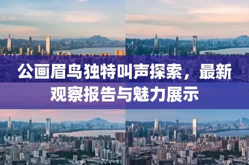 公畫眉鳥獨(dú)特叫聲探索，最新觀察報告與魅力展示