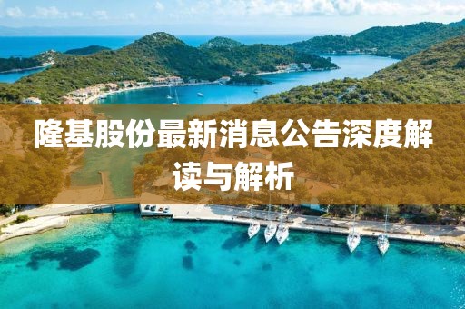 隆基股份最新消息公告深度解讀與解析
