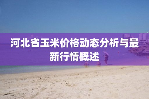 河北省玉米價(jià)格動(dòng)態(tài)分析與最新行情概述