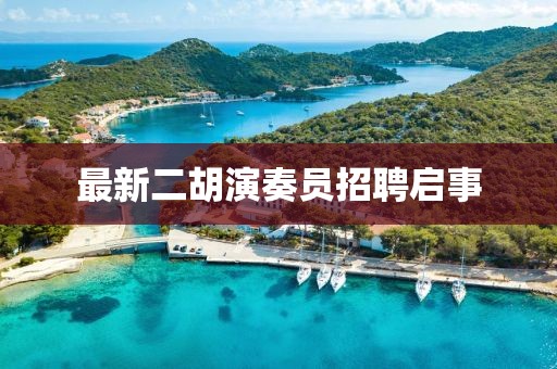 最新二胡演奏員招聘啟事