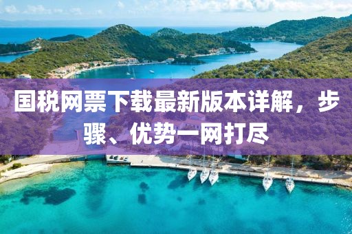 國稅網(wǎng)票下載最新版本詳解，步驟、優(yōu)勢一網(wǎng)打盡