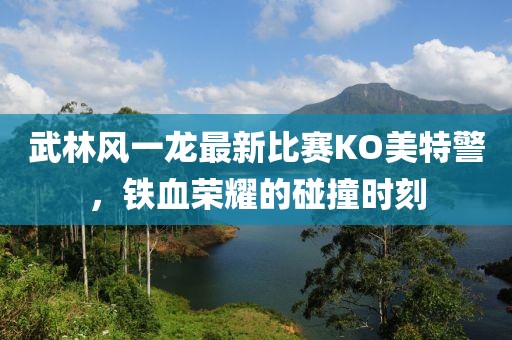 武林風(fēng)一龍最新比賽KO美特警，鐵血榮耀的碰撞時(shí)刻