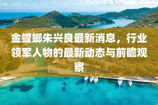 金螳螂朱興良最新消息，行業(yè)領(lǐng)軍人物的最新動(dòng)態(tài)與前瞻觀察