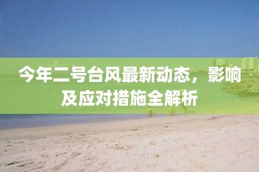 今年二號臺風(fēng)最新動態(tài)，影響及應(yīng)對措施全解析