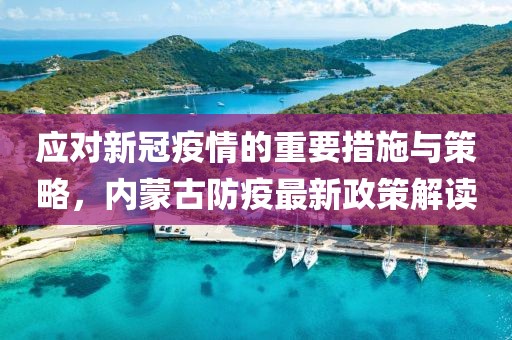 應(yīng)對新冠疫情的重要措施與策略，內(nèi)蒙古防疫最新政策解讀