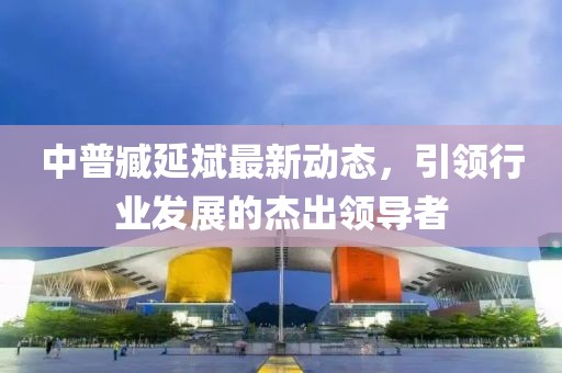 中普臧延斌最新動態(tài)，引領(lǐng)行業(yè)發(fā)展的杰出領(lǐng)導(dǎo)者