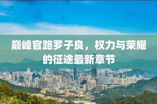 巔峰官路羅子良，權(quán)力與榮耀的征途最新章節(jié)