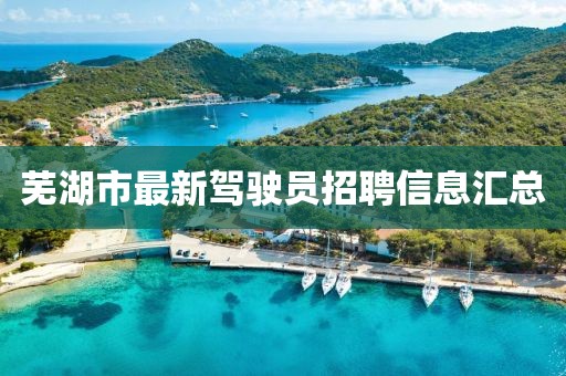 蕪湖市最新駕駛員招聘信息匯總