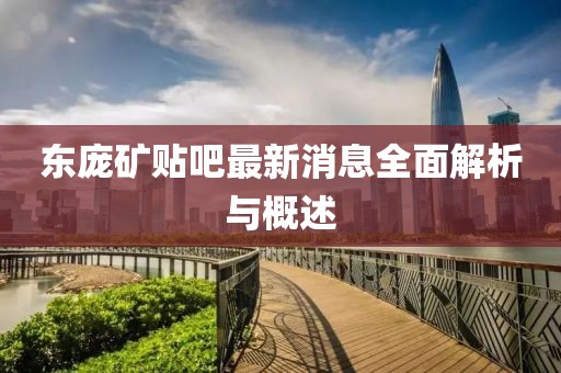 東龐礦貼吧最新消息全面解析與概述
